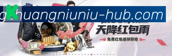 未来规划